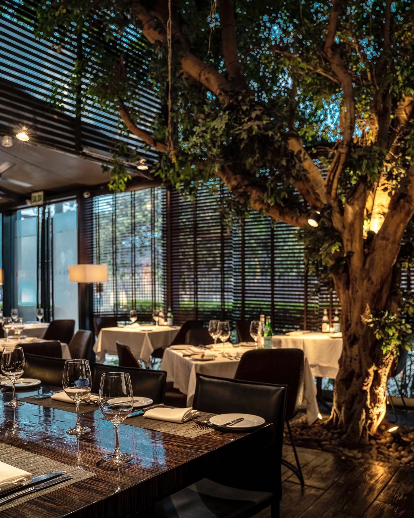Salón principal de Carnal Prime con árbol interior